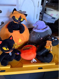 Halloween cats