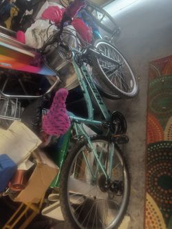 Adult bicycle