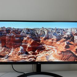 LG 34” WFHD Montior