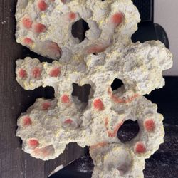 Fish Decor 