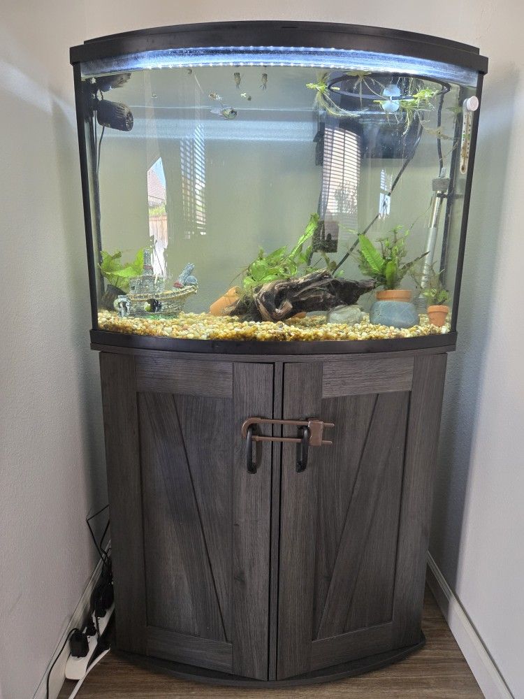 36 Gallon Bowfront Glass Aquarium