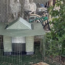 Luxury Large Doghouse Suite