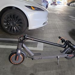 electric scooter 