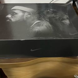 Nike LeBron 