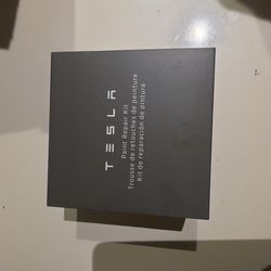 Tesla Paint Repair Kit