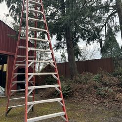 Werner 14 Foot Twin step Ladders