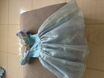 Cinderella And Rapunzel Girl Costumes