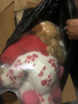 Stuffed animals