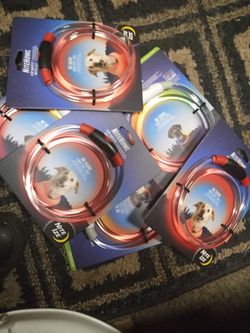 Night Ize Dog Lights