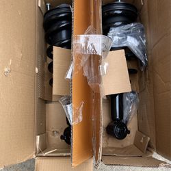 Shock And Strut Assembly