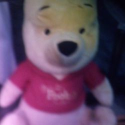 Talking And Dancing pooh