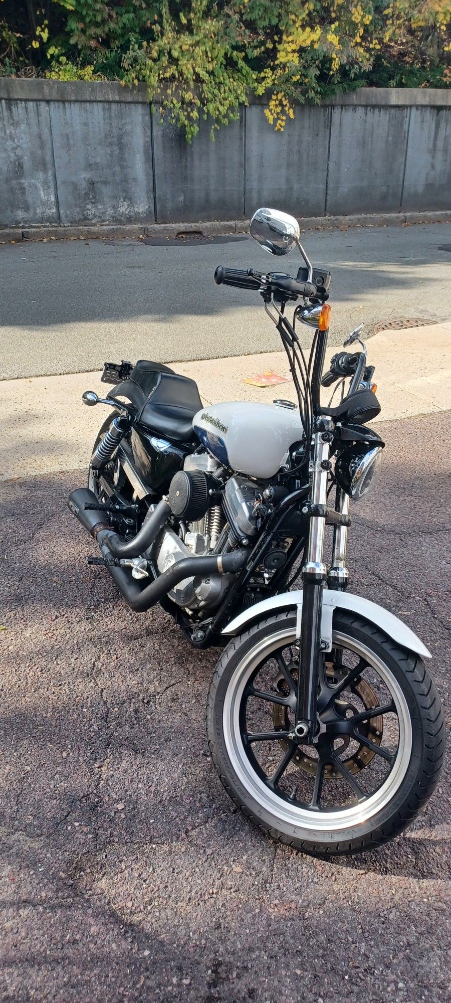 2015 Harley-davidson 883xl sportster low