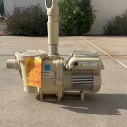 Pentair Variable Speed Pool Pump 