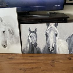Canvas Pictures