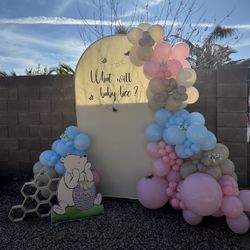 Honey Comb And Balloon Arch 