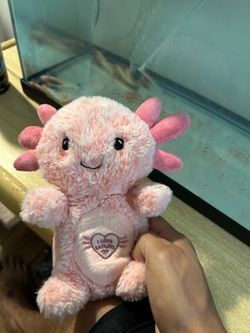 Axolotl plushy