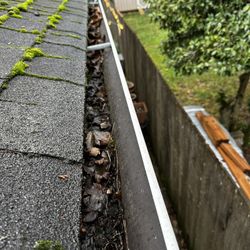 Gutter Cleaning/Roof Clean