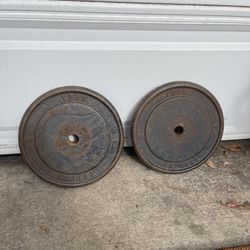 Two 25 Lb Plates And A 10 Lb Bar 