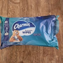 Charmin Flushable Wipes