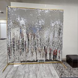 Sequined Backdrop