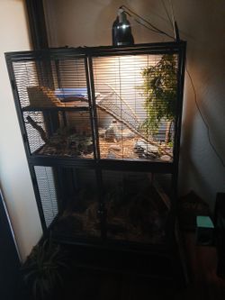 Reptile habitat