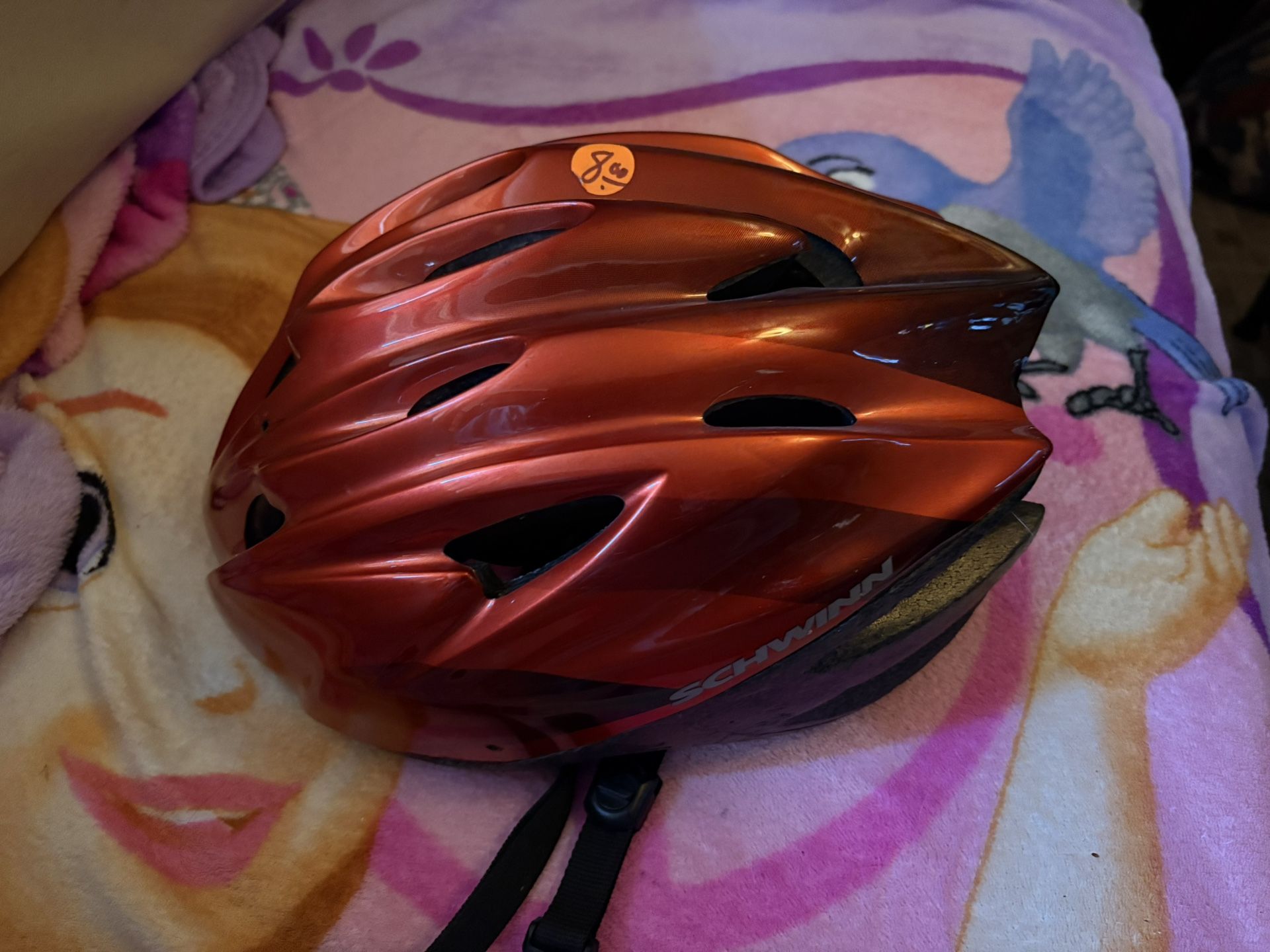 Like New Bike Helmet