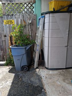Werner aluminum stepladder