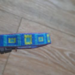 Small Pet Collar & Flexible Leash