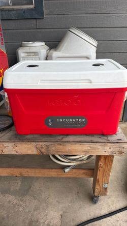 Puppy travel incubator