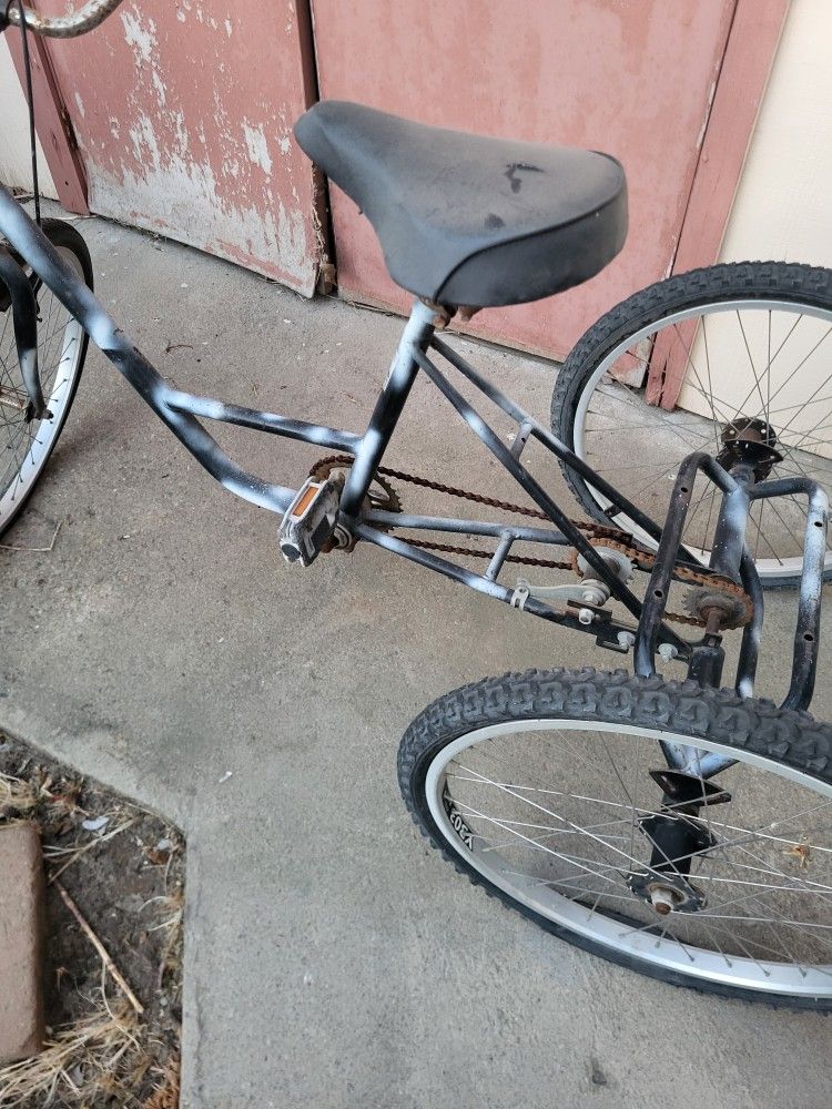 Trike Bicycle
