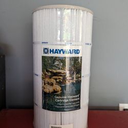 Hayward Pool Cartridge Filter