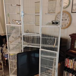 Bird Cage