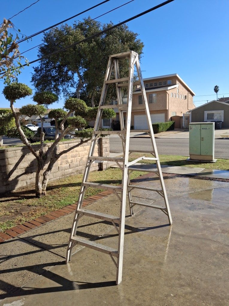 Ladder