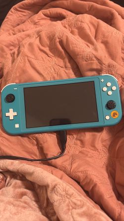 My Nintendo blue
