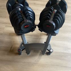Bowflex 1090 With Stand