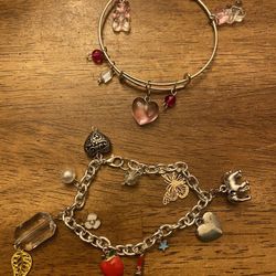 New Silver Bracelets With Charms Both Styles .