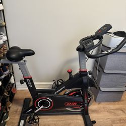 DMASUN Exercise Bike