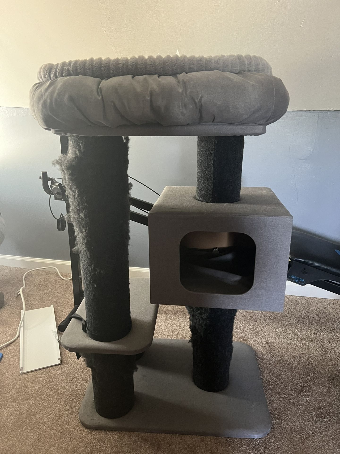 Cat Tree