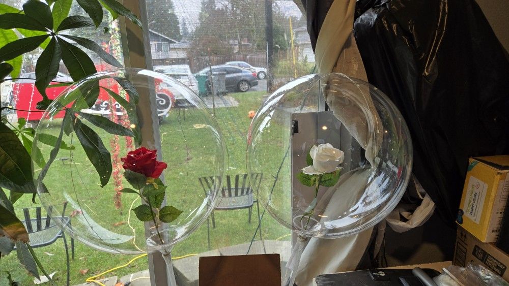 Rose Balloons