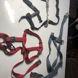 Harness Large And Xl Each
