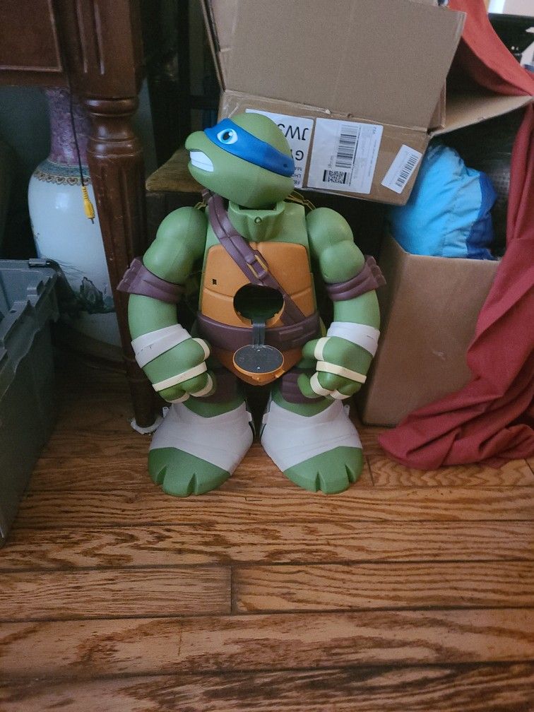 Ninja turtle play Set