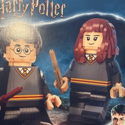 LEGO Harry Potter & Hermione Granger 76393