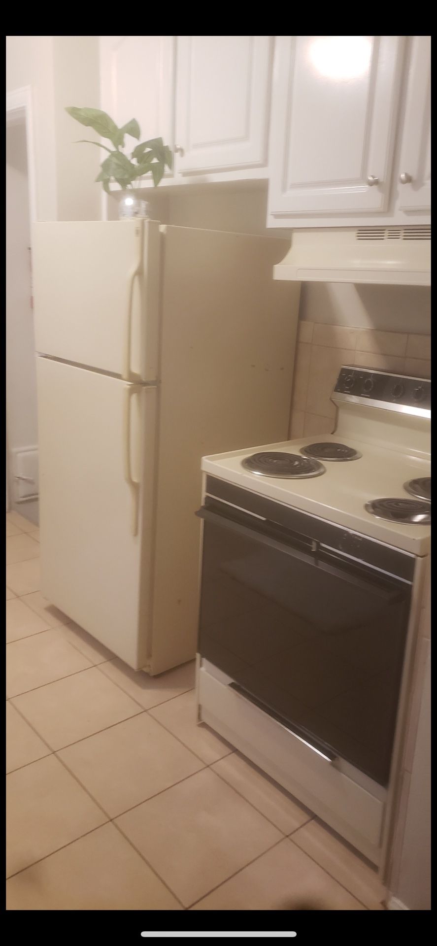 Fridge And stove Duo