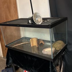 Lizzard Tank 