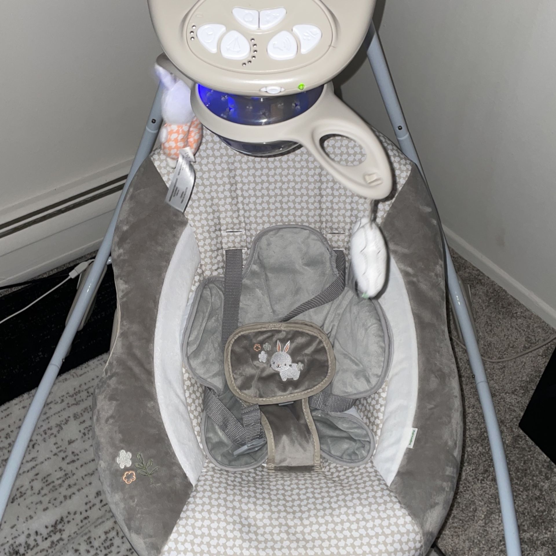 Baby Swing