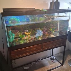 Large Aquarium With Stand