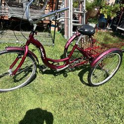 Tricycle Need New Tires