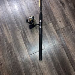 Fishing Rod, And Reel Penn