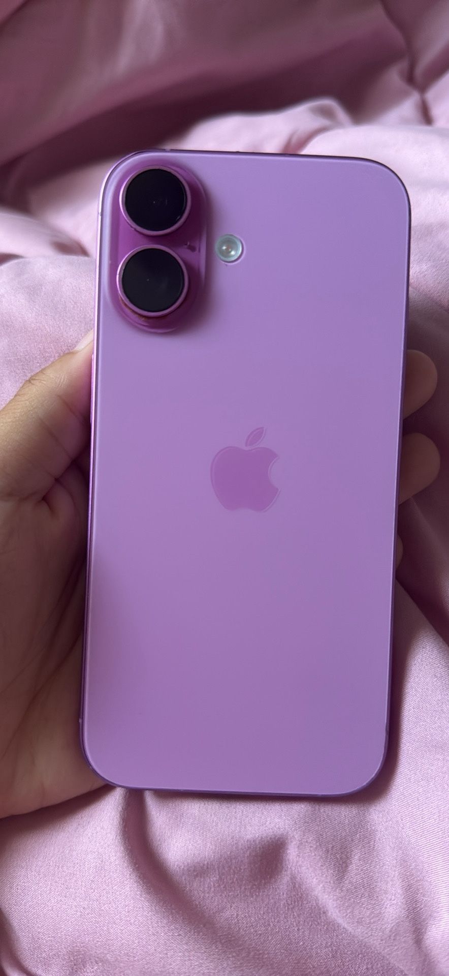 iPhone 16 (pink)