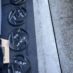 45lb Olympic Weight Plates 